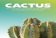 CACTUS€¦ · sont présentés sur chaque fiche CACTUS avec un zoom sur leurs conséquences vis-à-vis de la thématique concernée. Le coeur des fiches CACTUS s’appuie sur une