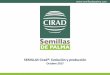 SEMILLAS Cirad®: Evolución y producciónsemillasdepalma.com/honduras/semillas-cirad-evolucion-y-produccion.pdf · Una larga historia de mejoramiento ... Estimación de la producción
