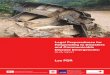 study report · 2012-03-01 · international instruments relevant to disaster and communicable disease emergencies in Laos; 2. Recommend legal and policy measures to minimise legal