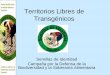 Territorios Libres de Transgénicosmedia.utp.edu.co/.../territorioslibresdetransgenicosutp280510.pdf · Riesgos e impactos de los cultivos y alimentos transgénicos 1. Desplazamiento