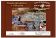 PLAN DE DESARROLLO Y OPERACION - carbonn LA PINTADA … · pinturas rupestre elaboradas y distribuidas en numerosos paneles de distintos elementos rupestres, además de estas manifestaciones