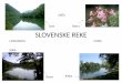 SOČA Sava Kokra SLOVENSKE REKE - Dijaski.net · znaČilnosti ekosistema • znaČilen stalen pretok (nastanek rek) z izjemo rek ponikalnic in hudournikov • odvisnost Življenskih
