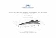 Gustav Peterson - DiVA portal24265/FULLTEXT01.pdf · BWB Blended wing body. C CD0 Zero-lift drag coefficient is the drag on the aircraft independent of lift. Center of gravity The