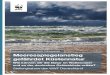 Naturschutz | Küstenschutz | Klimawandel ... · 3 Stellungnahme des WWF Deutschland zu Meeresspiegelanstieg an Ostsee und Wattenmeer Natur an der Küste gefährdet Das weltweit einzigartige