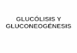 GLUCÓLISIS Y GLUCONEOGÉNESIS€¦ · REGULACION DE LAS ENZIMAS CLAVE DE LA GLUCÓLISIS HEXOQUINASA: Inhibición por glucosa 6-fosfato FOSFOFRUCTOQUINASA: Inhibición por ATP, citrato