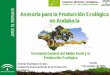 Asesoría para la Producción Ecológica en Andalucía€¦ · Eje 3. Desarrollar el consumo interno de alimentos ecológicos. Eje 4. Potenciar la formación, investigación y transferencia