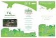 Clausura del Año Internacional de la Biodiversidad mamiferos.pdf · de la Biodiversidad Colección Nacional de Mamíferos CNMA DIRECTORIO: Dr. José Narro Robles Rector de la UNAM