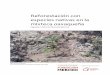 Reforestación con especies nativas en la mixteca oaxaqueñaproyectomixtecasustentableac.org/wp-content/uploads/2019/05/Ref-… · a una reforestación de la misma especie en El Carmen,
