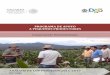 ANÁLISIS DE LOS PROCESOS 2016-2017...10 | P á g i n a Análisis de los Procesos 2016-2017 Componente Extensionismo Durango a) Impulsar la productividad en el sector agroalimentario