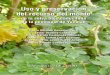 Uso y preservación del recurso del monteww.ucol.mx/content/publicacionesenlinea/adjuntos/... · asociada a su contenido de proteína, sin embargo la vegetación arbus-tiva y arbórea