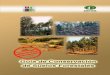 JORGE GA YOSO - DIEGO ALARCÓN - Universidad Austral de Chile · 2 - Guía de Conservación de Suelos Forestales 1. INTRODUCCIÓN • Las actividades ligadas al manejo forestal en
