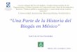 Una Parte de la Historia del Biogás en México”dcsh.xoc.uam.mx/produccioneconomica/publicaciones/9_biogas_en_Mexico.pdfel IIE en la segunda mitad de la década de los setentas,