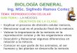 BIOLOGÍA GENERAL - Universidad de El Salvador - UESOBJETIVOS DE LA CLASE: •Explicar el proceso de división celular meiosis, •Mencionar cual es el producto final de la meiosis
