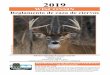 Reglamento de caza de ciervos de 2017 · 2019-10-28 · tutoría de caza descrito en la página 23 o que el cazador haya completado el entrenamiento básico militar de los EE. UU