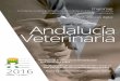 El DAIRA ahora es digital Andalucía Veterinaria · 2016-07-28 · XII Congreso Andaluz de Veterinarios, especialistas en animales de compañía XVII Congreso Internacional de Medicina