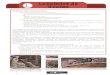 Le luthier de Venise - Le Petit Journal des Profs · 2020-01-08 · Le luthier de Venise CoursCours MoyenMoyen L Littérature Au beau milieu du carnaval, entra chez lui un jeune artiste