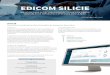 EDICOM SILICIE - EdicomGroup · La solución captura los datos de facturación directa-mente del ERP o sistema contable del cliente a partir de una sencilla propuesta de fichero desarrollada