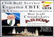 Hojas catأ،logo Bull terrier concurso somo ... NORMATIVA PARA LA OBTENCION DEL TITULO DE SUPER CAMPEON