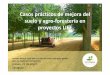 3.1 Casos practicos de mejora de suelo en …...Casos prácticos de mejora del suelo y agro-forestería en proyectos LIFE Jornada Técnica-Cada año es el año del suelo: una mejor