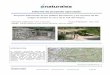 Informe de proyecto ejecutado - Naturalea · Proyecto de adecuación al uso público del entorno y los accesos de las tinajas de piedra en seco de la Vall del Flequer 3 de 23 1. Aparcamientos