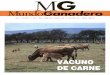 Revista MG Mundo Ganadero - Ministerio de Agricultura ... · Pero, además de los hechos apuntados, hay dos temas que afectan muy directamente a nuestro vacuno de carne y no dehen