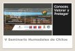 V Seminario Humedales de Chiloe - humedaleschiloe.clhumedaleschiloe.cl/wp-content/uploads/2018/06/V... · Incorporación de Humedales Costeros de Chiloé en el proceso de Zonificación