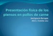 José Ignacio Barragán AECA. Octubre 2012 · 2018-06-24 · Efecto de la presentación física sobre los resultados. Ross Tech; 2007 Tratamien to Peso IC 10 días 21 días 31 días