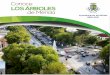 Conoce LOS ÁRBOLES de Mérida - merida.gob.mxmerida.gob.mx/.../contenidos/doc/ConoceLosArboles.pdf · Los árboles que tenemos en la ciudad nos dan una mejor calidad de vida. 