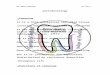 codental.uobaghdad.edu.iq€¦ · Web view(resorption and deposition),but it is characterized by continuous deposition throughout life. Functions of cementum:-Anchorage of the tooth