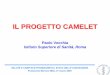 IL PROGETTO CAMELETold.iss.it/binary/elet/cont/Vecchia.pdf · Pontecchio Marconi (BO), 31 marzo 2009 ATTIVITÀ INTERNAZIONALI OMS – Progetto CEM ICNIRP EMF-NET COST 281 (Terminata