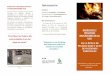 3 trip barbacoas - Arroyo de San Serván · 2019-11-13 · Incendios Forestales en la Comunidad Autónoma de Extremadura. (PREIFEX) (DOE Nª211- 03/11/2016). - La Orden de Época