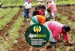 INFORME ANUAL - agrobanco.com.pe · empresa de propiedad del Estado que, además de su condición de institución financiera de desarrollo, está focalizada en el sector agropecuario