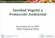 Sanidad Vegetal y Protección Ambiental · El tema del 2018 Propósito: Resaltar el importante papel de la sanidad vegetal para la protección del medio ambiente, por ejemplo el deterioro
