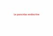 Le pancrأ©as endocrine - Paul Sabatier University ... pancreas endocrine D1 Author Administrateur Created