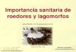 Importancia sanitaria de roedores y lagomorfos · Robovirus (rodent-borne viruses): Arenavirus, Hantavirus Arbovirus (arthropod-borne viruses): Flavivirus (TBEv), Virus de la fiebre