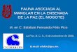 FAUNA ASOCIADA AL MANGLAR EN LA ENSENADA DE LA PAZ … · ¾Determinar la diversidad taxonómica de los macroinvertebrados asociados al manglar de El Mogote, Ensenada de La Paz, B.C.S