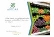 ¿Qué hacen los supermercados para ser sostenibles? Sus ...€¦ · Spain Carrefour Mercadona Eroski group 55% France Carrefour Leclerc Casino 55% Netherlands Albert Heijn Schuitema