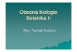 Obecn á biologie Botanika II - zcu.cz · 2017-03-15 · Botanika II Mgr. Tom áš Ku čera. Organologie org án = funk čnícelek tvo řený pletivy stélka vs. rostlinn étělo