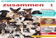 Jugendmagazin in deutscher Sprache B2/C1 …...dass die Hunderasse ihren ursprünglichen Namen bekommt: Deutscher Spitz. Boxer 1895 kreuzten* drei Münchener eine Bulldogge mit einer