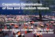 Capacitive Deionization of Sea and Brackish Waters · Capacitive Deionization of Sea and Brackish Waters Clean Drinking Water and Storing Energy! OECD Paris 2009