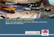 Small Arms Survey Rapport · 2.2.1 Les détournements de transferts 50 2.2.2 Les détournements de matériel des stocks nationaux 55 2.2.3 Les détournements d’armes détenues par
