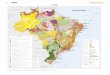 Geologia - geoftp.ibge.gov.brgeoftp.ibge.gov.br/atlas/nacional/atlas_nacional_do_brasil_2010/2... · Geologia Fontes: IBGE, Diretoria de Geociências, Coordenação de Recursos Naturais
