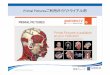 Primal Picturesご利用ガイド トライアル用erl.med.u-tokai.ac.jp/Primal Pictures User Guide.pdf · 組織名の表示・認識/3D Atlas of Human Anatomy • 画像に表示されている組織名が一覧表示されます