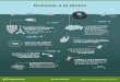 Océanos a la deriva - Iberdrola: la energética del futuro · Océanos a la deriva Los océanos reciben 8 millones de toneladas de plástico anuales desde las costas, 800 veces el