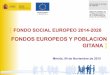 FONDOS EUROPEOS Y POBLACION GITANA - mscbs.gob.es...- PO. de Inclusión Social y de la Economía Social (800 M\ €) - PO de Empleo Juvenil (2.360 M/ €) • Programas operativos