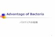Advantage of Bacteria - universe-inc.netLIVE BACTERIA 公衆トイレ、台所、学校、養護施設、病院、 オフィスビル、マンション、ホテル、モーテル 、グリーストラップ、厨房でご使用頂けます。希釈倍率