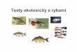 Testy ekotoxicity s rybami - Masaryk University · • Počet ryb -pro každý odběr 4 ryby (min. 5 odběrů během příjmu, 4 odběry během vylučování) • Bioakumulačnífaktor