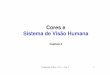 Cores e Sistema de Visão Humanaaconci/Cores.pdf · Sistema de Visão Humana Retina - composta de cerca de 120 milhões de bastonetes e 6 milhões de cones (sensores), converte o