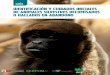 IDENTIFICACIÓN Y CUIDADOS INICIALES DE ANIMALES … · Tercera edición: Mayo 2017 Tiraje: 500 ejemplares Hecho el Depósito Legal en la Biblioteca Nacional del Perú N° xxxxxxx