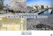 和歌山市のまちづくりと 「都市再生推進法人制度」 …...0 和歌山市のまちづくりと 「都市再生推進法人制度」について 平成31年2月18日